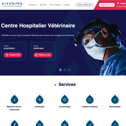 Site web Ressorts Masselin