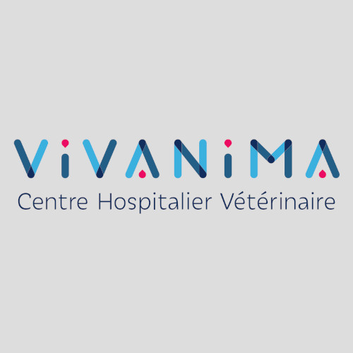 L'équipe YETIC
